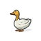 Duck hand-drawn illustration. Duck. Vector doodle style cartoon illustration