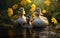 Duck Haven Feathered Friends Among Yellow Blossoms. Generative AI