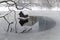 A duck house in a hole on a recently frozen pond