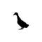 Duck icon. Simple style zoological garden ticket big sale poster background symbol. Duck brand logo design element. Duck t-shirt