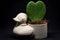 Duck mini flowerpot with heart flower taken in the studio