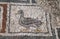 Duck mosaic from ancient Ephesus, Turkey