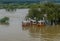 Duck paddle boats floating next to tree submerged in flooded river