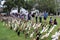 The Duck parade at Vergenoegd winery in South Africa