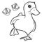 Duck with paw print Coloring Pages vector