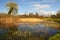 Duck pond by a scenic ancient castle in ireland