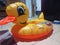 Duck Quacker Float