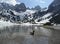 Duck at Seebensee lake, Tyrol, Austria