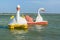 Duck Shape Boats at Lagoa do Paraiso Jericoacoara Brazil