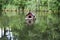 Duck shelter on lake