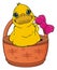 Duck sit on the basket