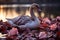 A duck sitting on top of a body of water created with generative AI technology