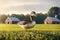 A duck standing in the grass in front of a barn