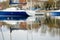 Duck swimming in front of colourful yachts docked at marina of Lecco town. Picturesque waterfront of Lecco located between famous