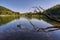 Duck swimming in lake