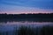 Duck swimming on the lake in twilight at sunset. Reeds on the coast. Summer rural landscape