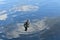 A duck swims in a lake creating a wave on the water. The water has reflection of the clouds