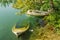 A duck swims near two boats