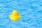 Duck toy. Yellow kids rubber toy float in blue water of summer pool. Float party minimal concept