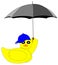 Duck with umbrella