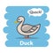 Duck vector illustration