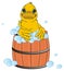 Duck washing in barrel