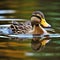 duck water created with generative AI