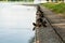 Duck in water lake coast surrounded with other ducks, Park