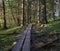 Duckboards derp in old forest