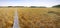 Duckboards over open wetland for trekking