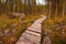 Duckboards path in forest among clearing through uneven rocky terrain