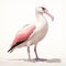 Duckcore: A Realistic Rendering Of A Dignified Bird In White And Pink