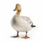 Duckcore: A Vibrant Duck On White Background - 32k Uhd