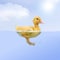 Duckling (7 days old) swimming