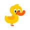 Duckling cartoon isolated. Duck Water bird vector illustration