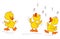 Duckling\'s concert