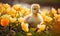 A duckling sitting in the middle of a field of flowers