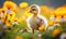 A duckling sitting in the middle of a field of flowers