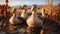 Duckling waddling on green meadow, reflecting in peaceful pond generated by AI