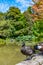 Ducks on a bridge at watergarden at Christchurch Botanic garden in New Zealand