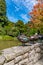 Ducks on a bridge at watergarden at Christchurch Botanic garden in New Zealand