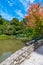 Ducks on a bridge at watergarden at Christchurch Botanic garden in New Zealand