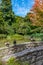 Ducks on a bridge at watergarden at Christchurch Botanic garden in New Zealand