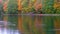 Ducks in a colorful lake with reflection of autumn foliage