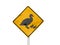 Ducks Crossing Sign