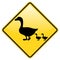 Ducks crossing warning