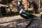 Ducks of different breeds in domestic agriculture, poultry for meat, live specimens close-up in the yard, in a special aviary