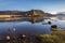 Ducks foraging during low tide at Eilean Donan Castle, Scotland