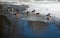 Ducks on a frozen lake. Birds on an ice shelf