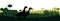 Ducks graze in pasture. Picture silhouette. Farm pets. Domestic poultry. Rural landscape with farmer house. Isolated on